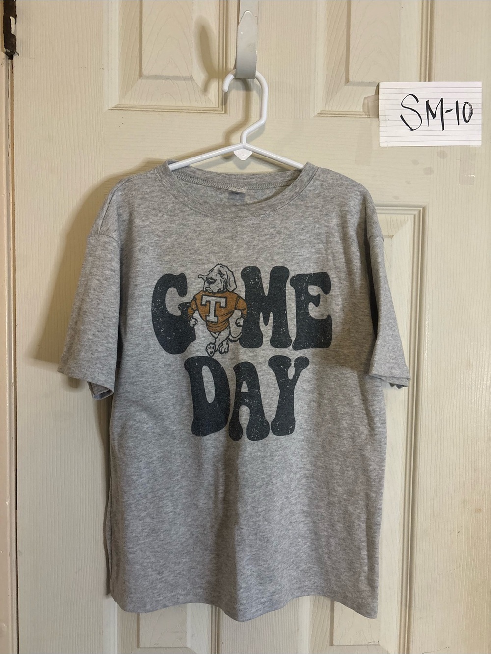 Game Day Gray Graphic Tee with Mascot Vols